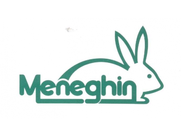 Meneghin cég 50 éves születésnapi rendezvénye