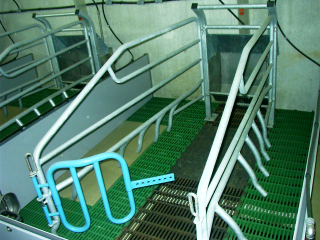 Fiaztató padozat