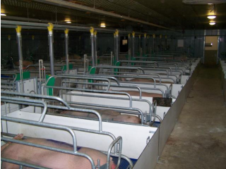 Véghfarm Pakod