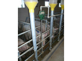 Véghfarm Pakod