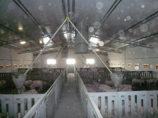 Véghfarm Pakod